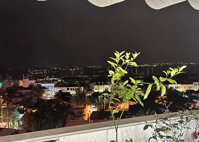 View *