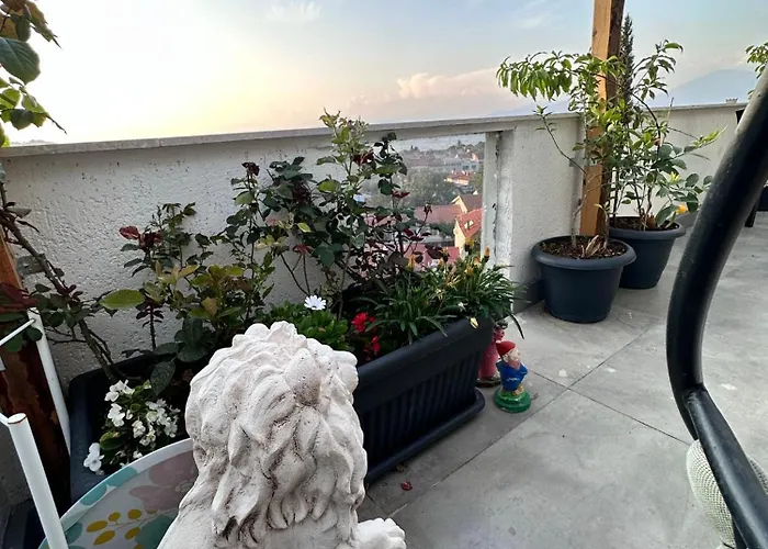 View * 费特希耶