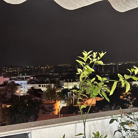 View *