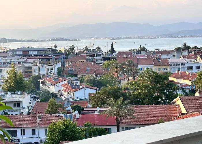 View * فتحية