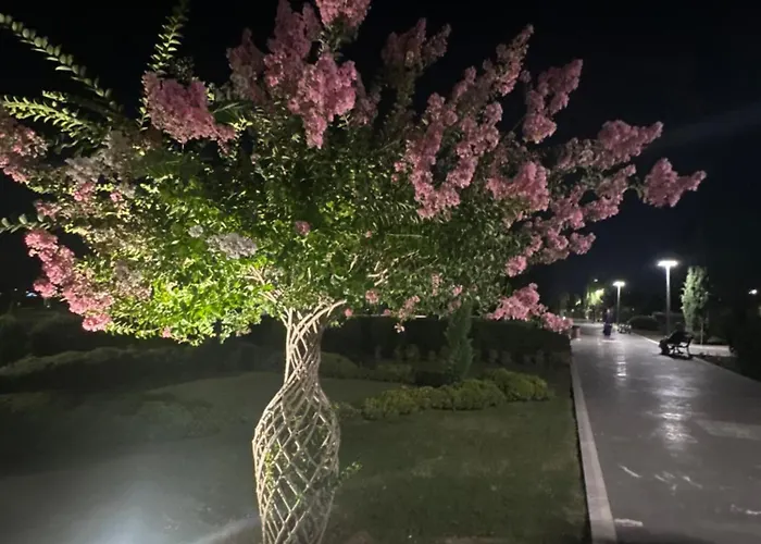 View شقة *