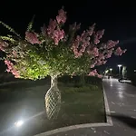 View Apartamento *