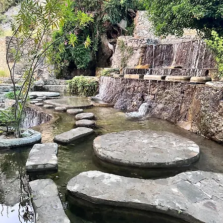 View فتحية